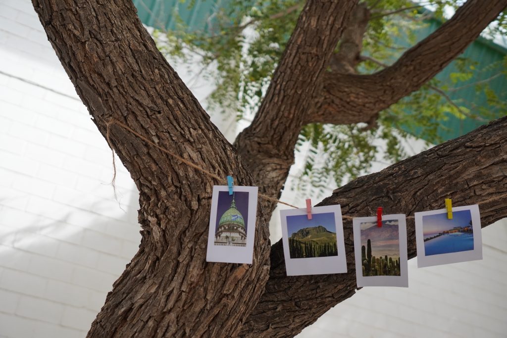 Proyecto fotográfico Secado